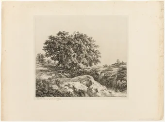 Kytice stromů aneb lípy (Souvenir of the Sarthe)