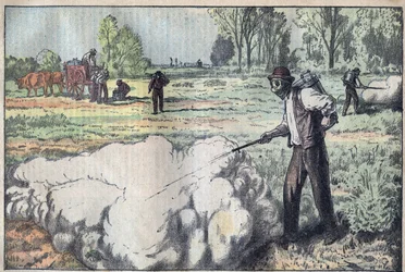 Zničení mulotů (Apodemus) dusivým plynem v Úsvitu - rytina Damblans - le-pelerin z roku 1923