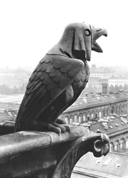 Chrlič z balustrády Grande Galerie západního průčelí, replika originálu z 12. století (kámen) (č/b foto)