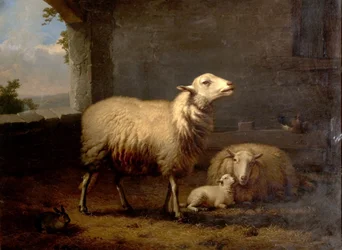 Ovce, 1876
