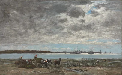 Sklizeň mořských řas, přístav Brest