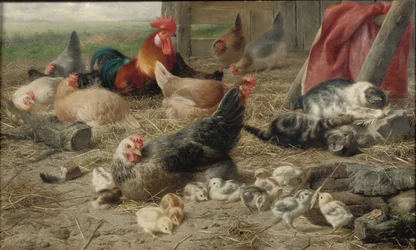 Na Barnyard (olej na plátně)
