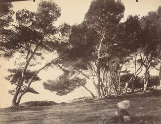 Cannes, ostrov Saint Honorat
