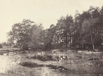Marsh na Piat Belle-Croix Plateau, c. 1863.
