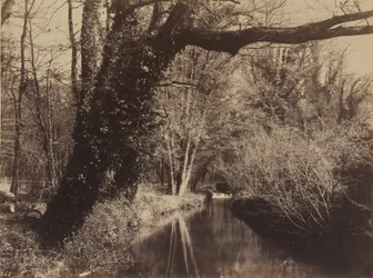 Courances Park, pozdní 1850.