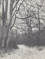 Cesta v lese, 1860-1863.