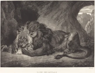 Lev z pohoří Atlas Lion de l