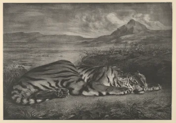 Královský tygr, 1829., 1829.