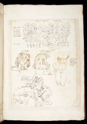 Ms 701 fl.34v, Kresba včetně pohledu na Spinario zezadu, konec 15. století (pero a inkoust na papíře)