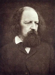 Portrét Alfreda, Lord Tennyson (1809-92), kolem 1889-91 (černobílá fotografie)