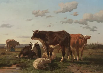 Skot a ovce v krajině, 1850
