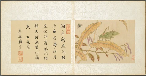 Album Miscellaneous Subjects, Leaf 7, 1600s.
