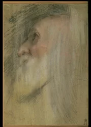 Hlava starce z profilu, asi 1575-9 (pastel, černá křída a sangvina)