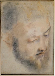 Studie hlavy Kresba Barocci