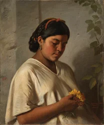 Indka s měsíčkem, 1876