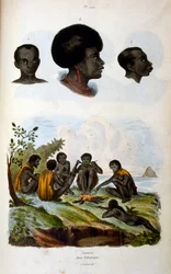 Antropologická ilustrace zobrazující etiopskou rasu