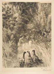 Překvapené kachny, 1882.