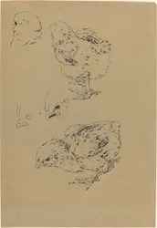 Kuřátka