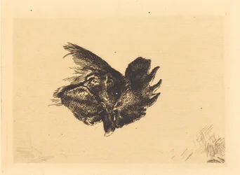 Hlava kohouta