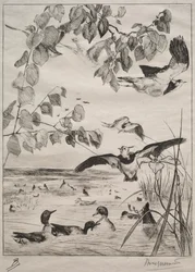 Čejky a čírky, 1862.
