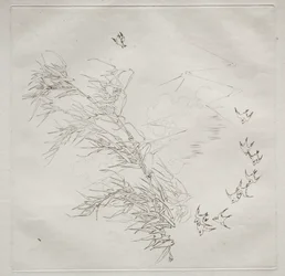 Pařížská služba (služba Haviland): The Storm (č. 8)
