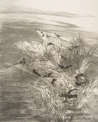 Rákos a čajka, 1882.