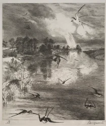 Vlaštovky, 1882.