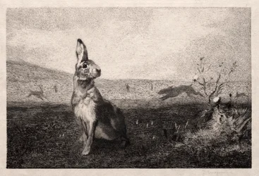 Zajíc podle A. de Balleroy, 1865.