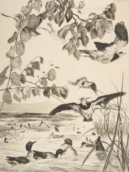 Čejky a Sarcelles, 1862.
