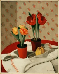 Dva květináče červených a žlutých tulipánů