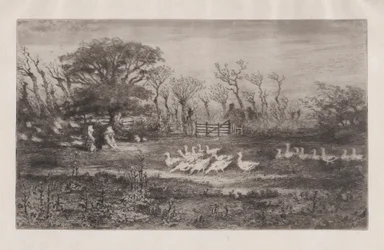 Husy, 1860-98.