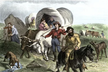 Historie osadníků ze Západního Conquete: Američtí průkopníci. Cesty několika rodin přes pláně Spojených států v diligentech tažených voly. Barevná rytina z 19. století.
