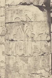 Karnak (Théby), palác--Hypostylová síň--Střední sloupořadí--Dekorace fut, 1853 (foto)