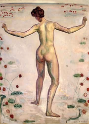 Nádhera linií, 1908