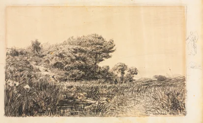 Edge of Marsh v Couronne