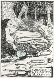 Ilustrace k 