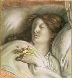 Rekonvalescent