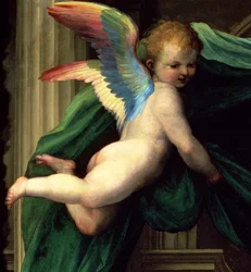 Mystický sňatek svaté Kateřiny Sienské se svatými, detail anděla, 1511 olej na panelu detail 93870