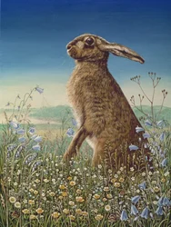 Zajíc, 1984 (olej a tempera na panelu)