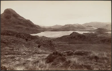 Arthog, jezero Creigene