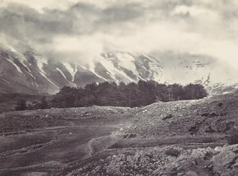 Pohled do dálky na cedry z Libanonu, ca. 1857.