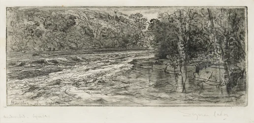 Pravděpodobné místo pro lososa, 1889