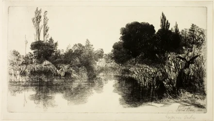 Shere Mill Pond, č. II (velká deska)