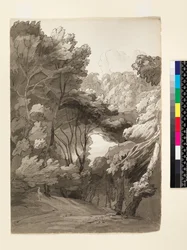 No.1093 A Wooded Landscape, 1788 (inkoust a mytí na papíře)