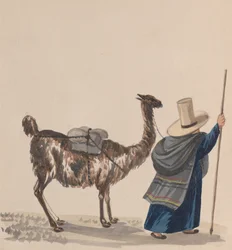 Žena chodící s lamou, ze skupiny kreseb zobrazujících peruánský kostým, ca. 1848.