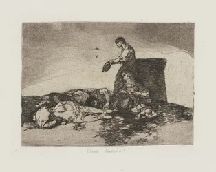 Krutá škoda! (Krutý příběh běda!), pl. 48 ze série The Disasters of War