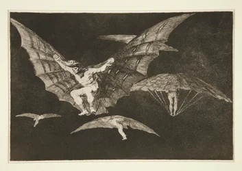 Způsob létání (A Way of Flying), pl. 13 ze série Přísloví
