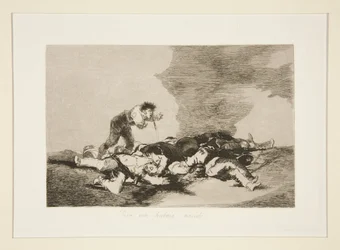 Pro to jste se narodili (Toto je to, pro co jste se narodili), pl. 12 z The Disasters of War