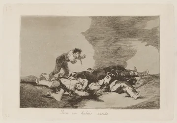 Pro to jste se narodili (Toto je to, pro co jste se narodili), pl. 12 ze série The Disasters of War