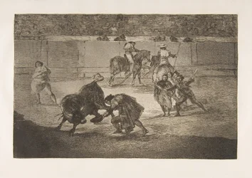 Talíř 29 Tauromaquia: Pepe Illo pasuje na recorte., 1816.